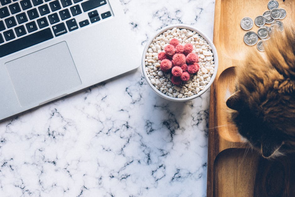 Aesthetic flat lay of a stylish workspace with a laptop, cat, and pot plant on a marble surface.